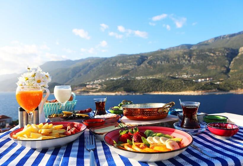 בית מלון כפרי Düşlerevim