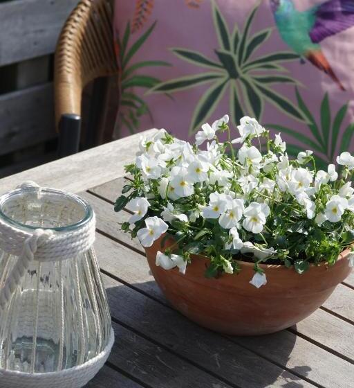 酒店 Het Anker Van Texel