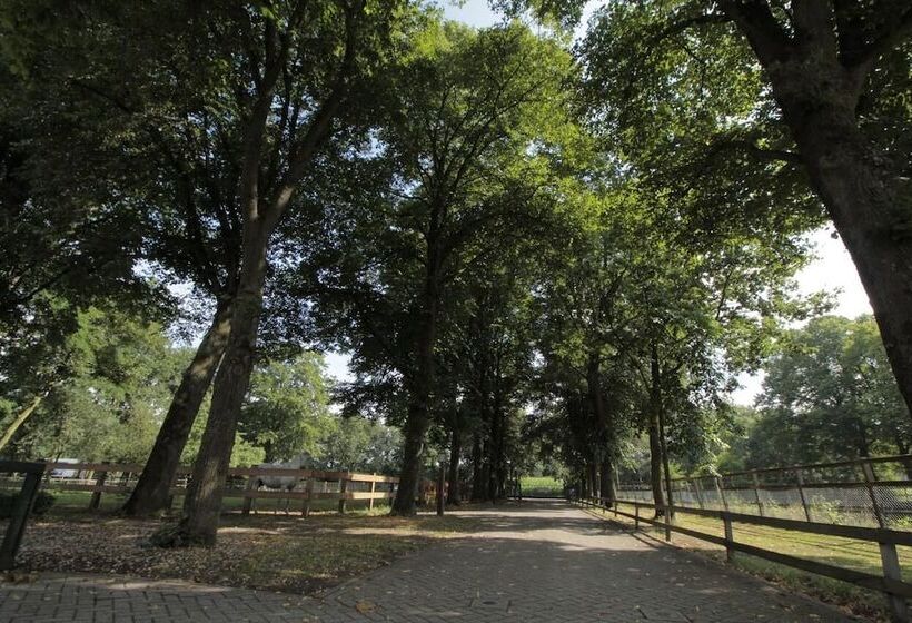 בית מלון כפרי Human & Horse