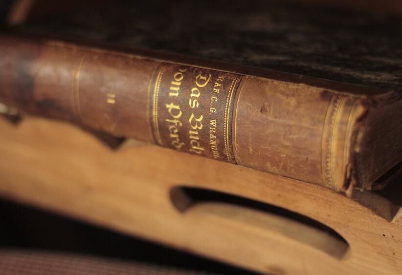 בית מלון כפרי Human & Horse