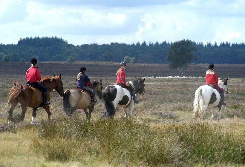 בית מלון כפרי Human & Horse