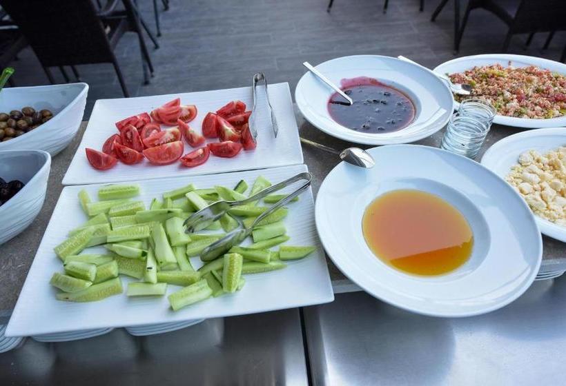 בית מלון כפרי Lidya