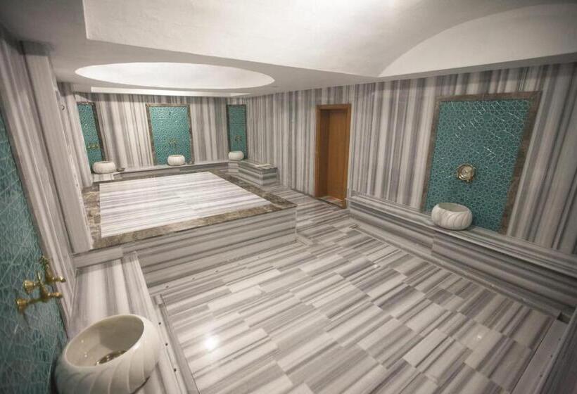 בית מלון כפרי Lidya