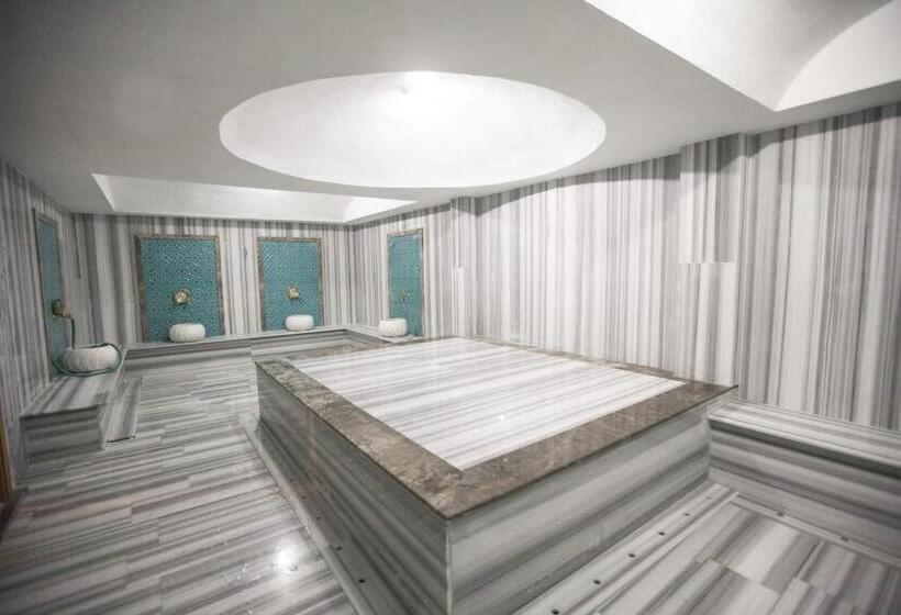 בית מלון כפרי Lidya