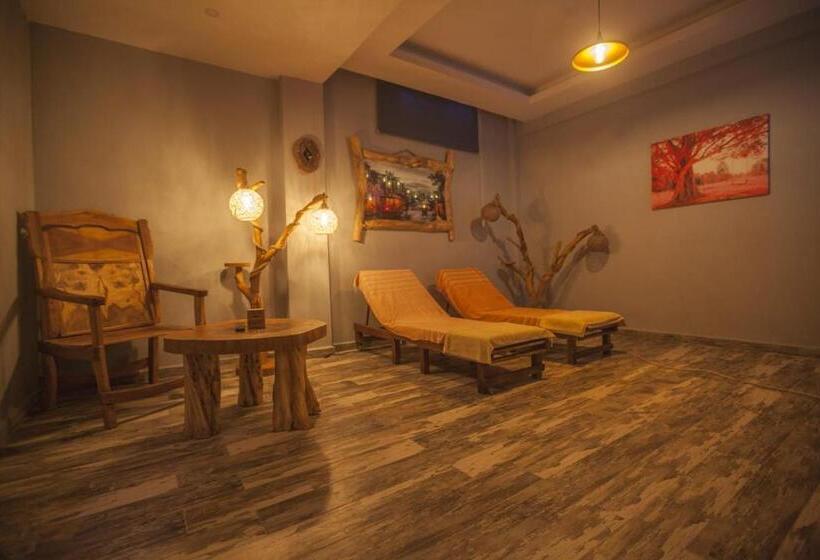 בית מלון כפרי Lidya