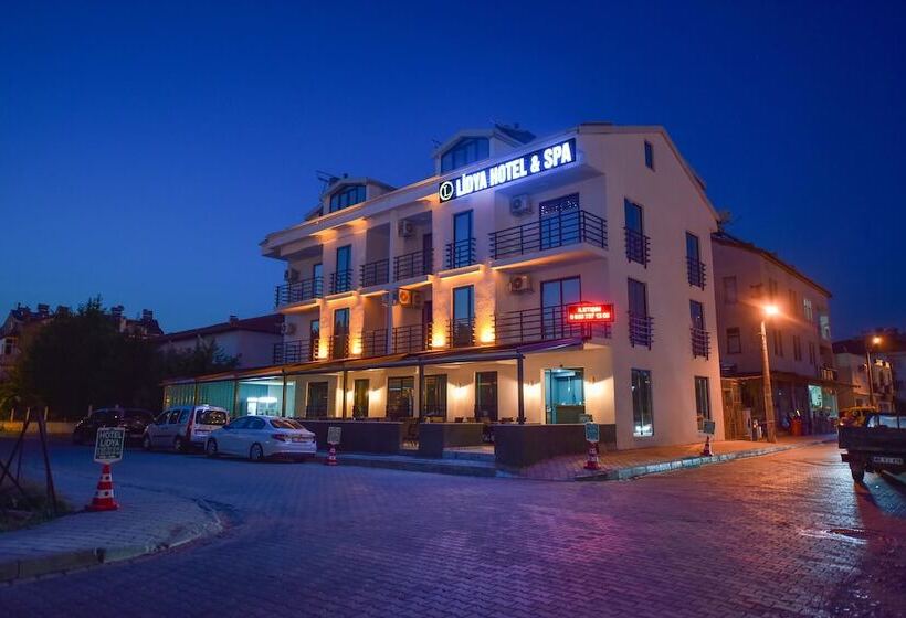 בית מלון כפרי Lidya