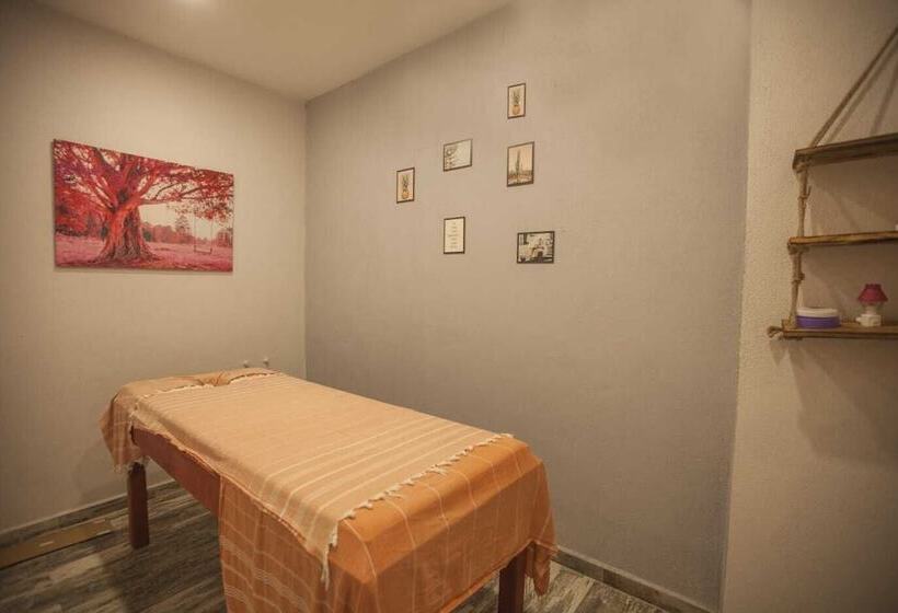 בית מלון כפרי Lidya