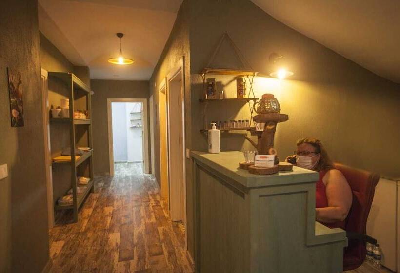 בית מלון כפרי Lidya