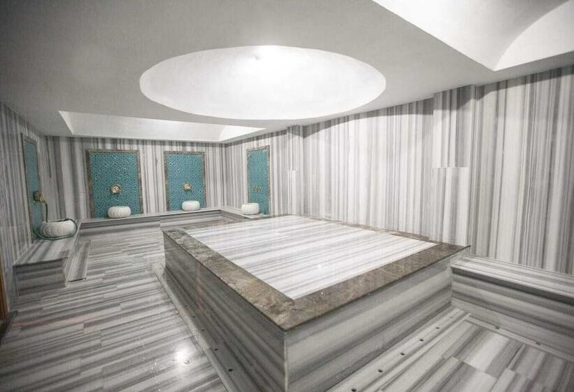 בית מלון כפרי Lidya