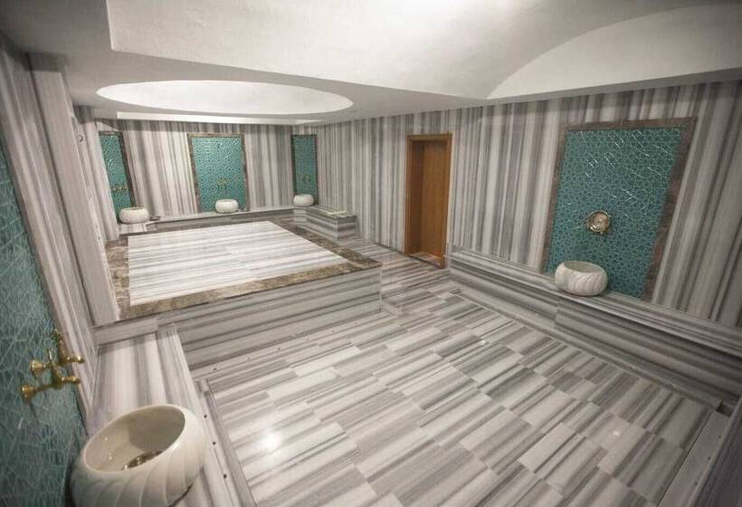 בית מלון כפרי Lidya