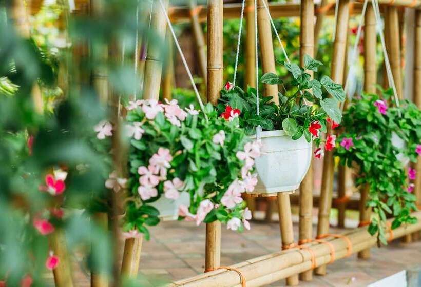 هتل Nan House Tam Coc