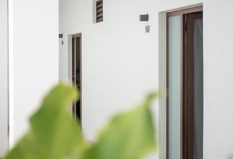 Отель Paso Del Mar Playa Del Carmen