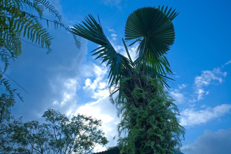 هتل Phong Nha Friendly Home 2