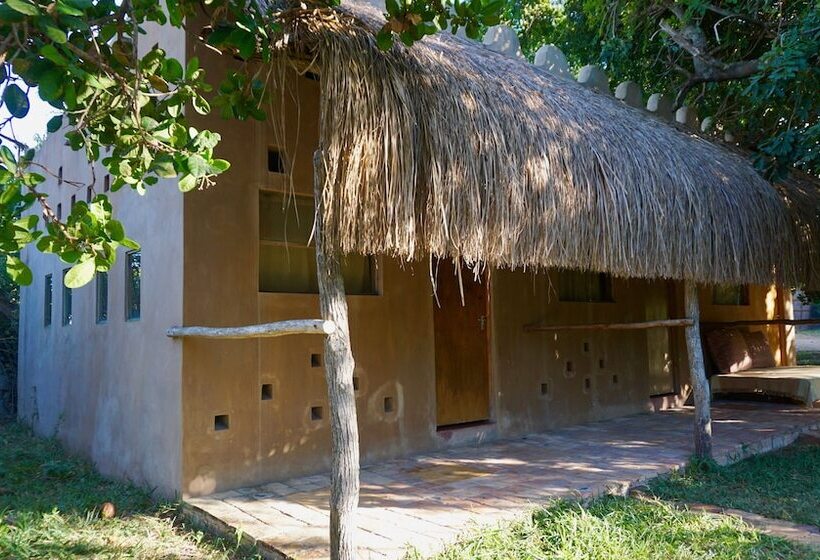 호텔 Turtle Cove Lodge And Yoga Shala