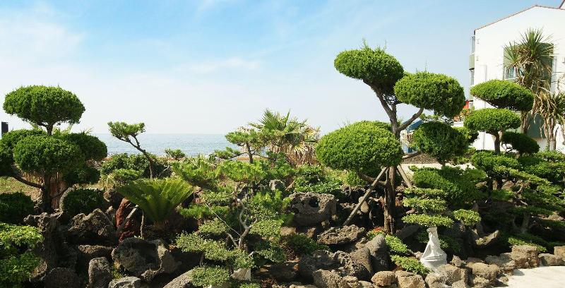 Jeju Thebeach Pension