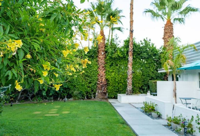 モーテル Bellevue Oasis Adults Only