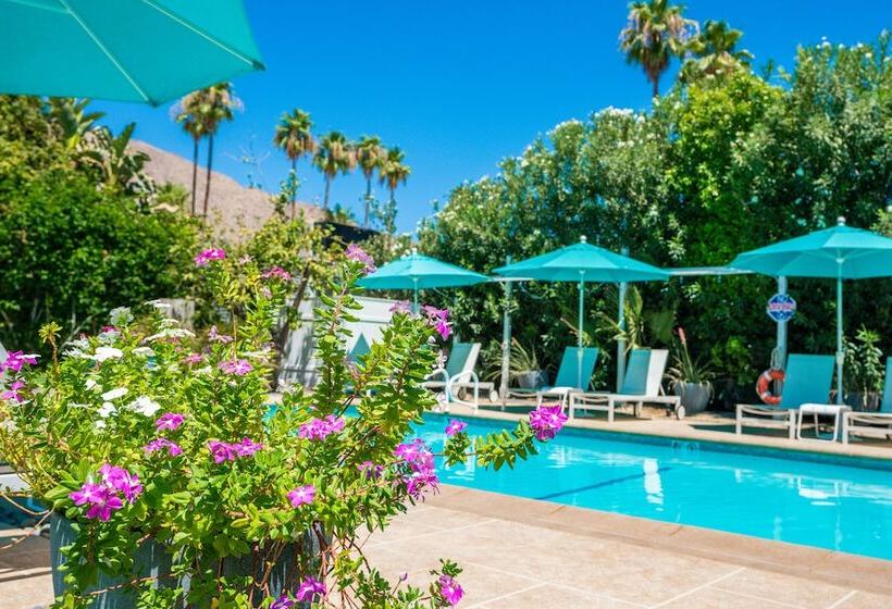 モーテル Bellevue Oasis Adults Only