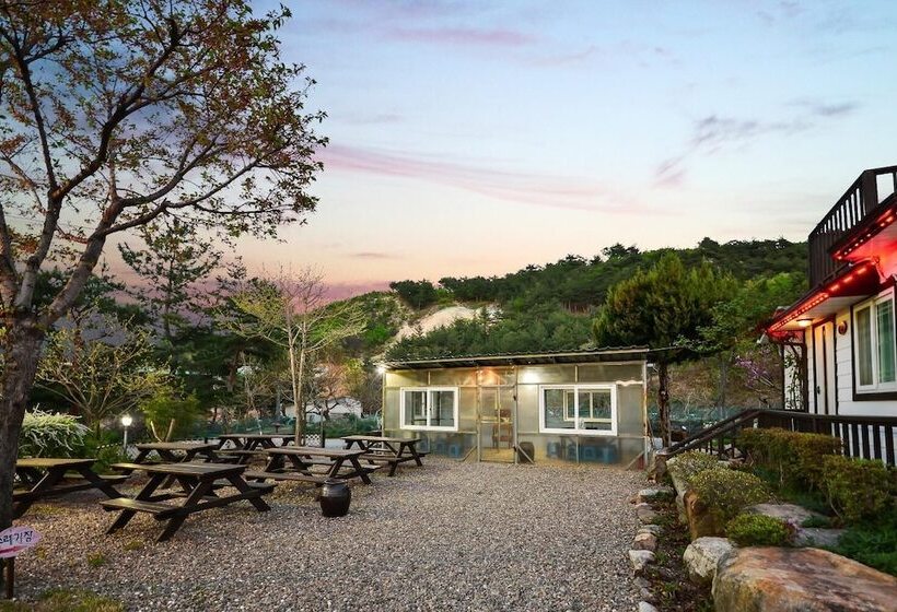 Samcheok Duelkkot Pension