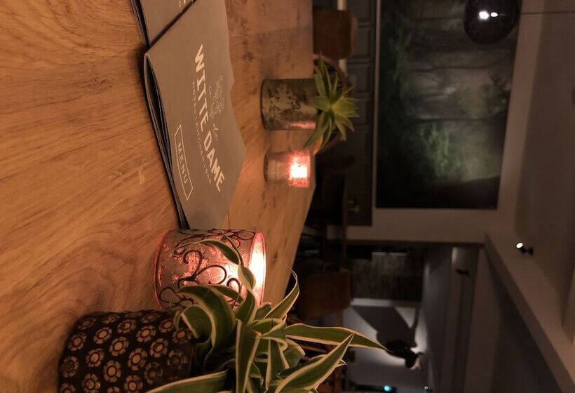 In De Witte Dame Hotel Bar Kitchen Apartments