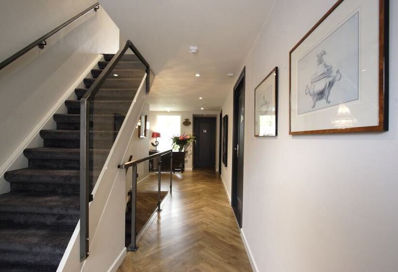 In De Witte Dame Hotel Bar Kitchen Apartments