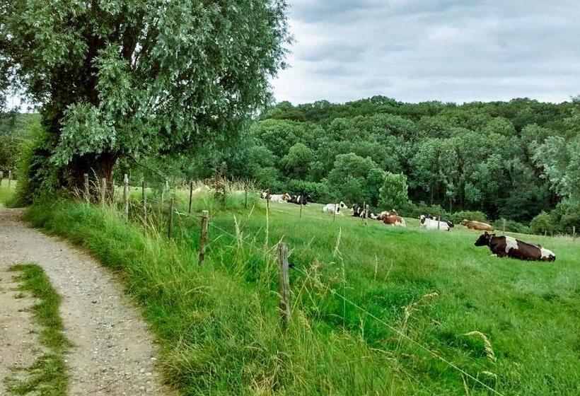 Carré Hotel Zuid Limburg