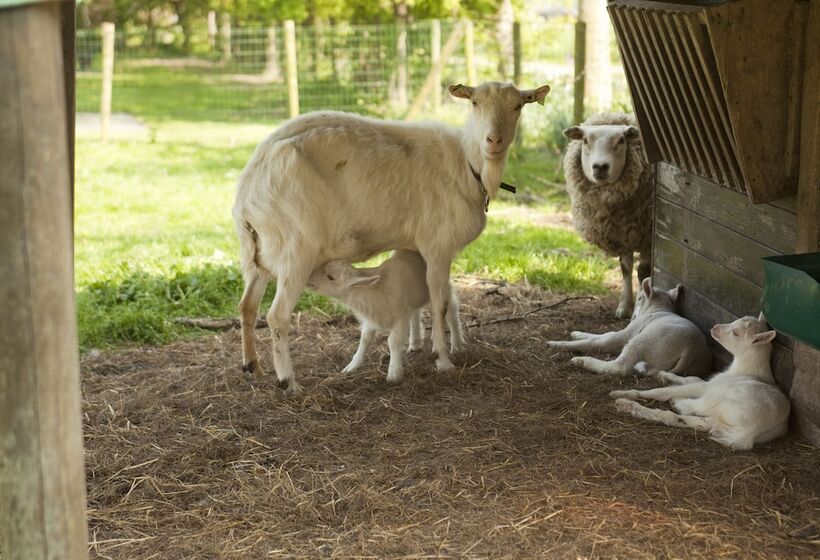 酒店 Restinn Aartswoud