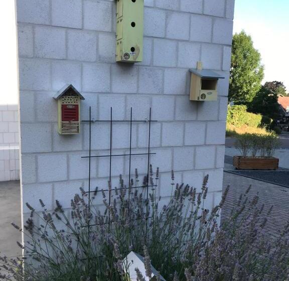 B&b Holset70
