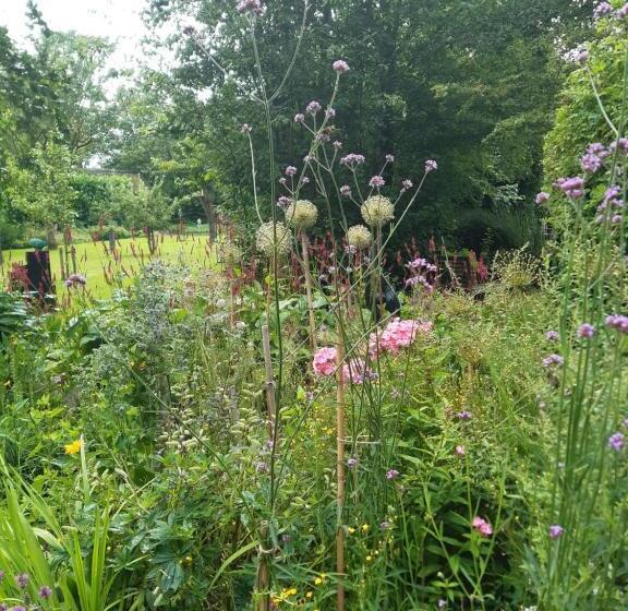 住宿加早餐  Rêst En Romte