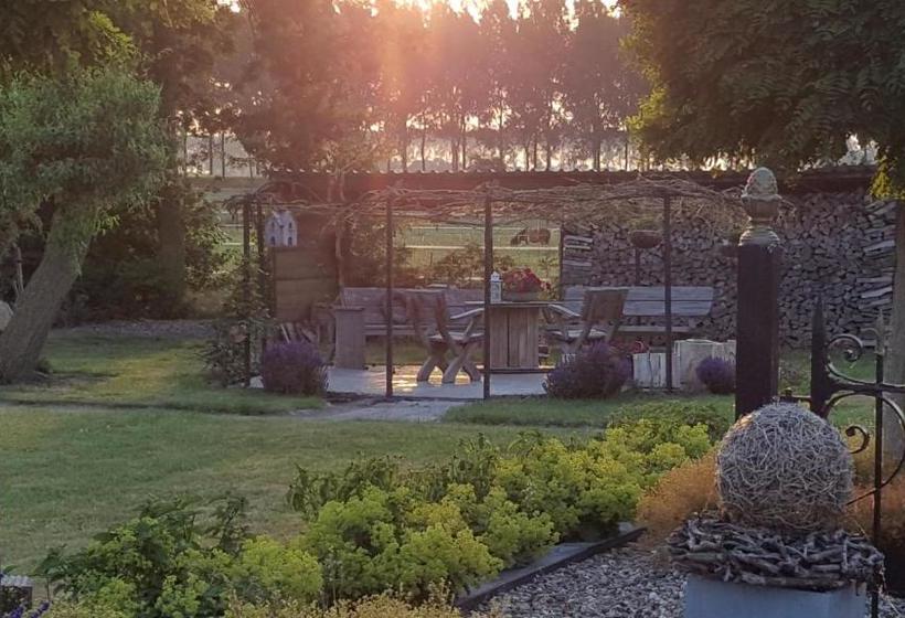 Bed & Breakfast De Kienstee