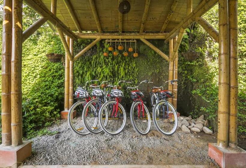 Общежитие Socialtel Filandia