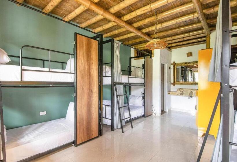 Общежитие Socialtel Filandia