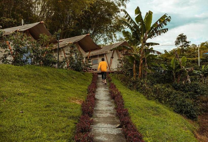 Общежитие Socialtel Filandia