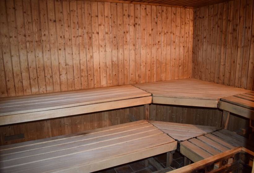 Balneo Hotel Pavel Banya