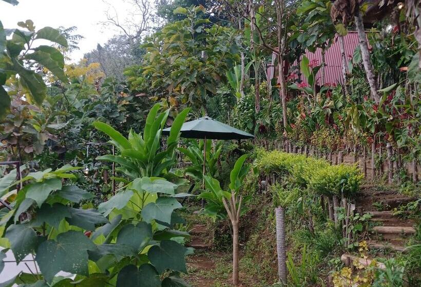 酒店 Ecocamp Bedugul