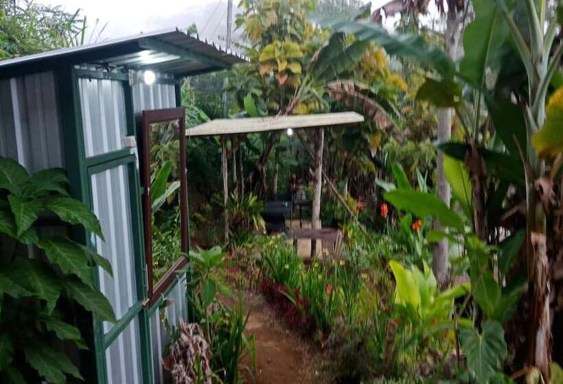 בית מלון כפרי Ecocamp Bedugul