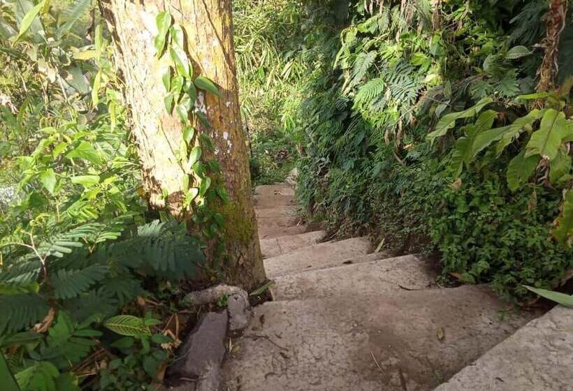 בית מלון כפרי Ecocamp Bedugul