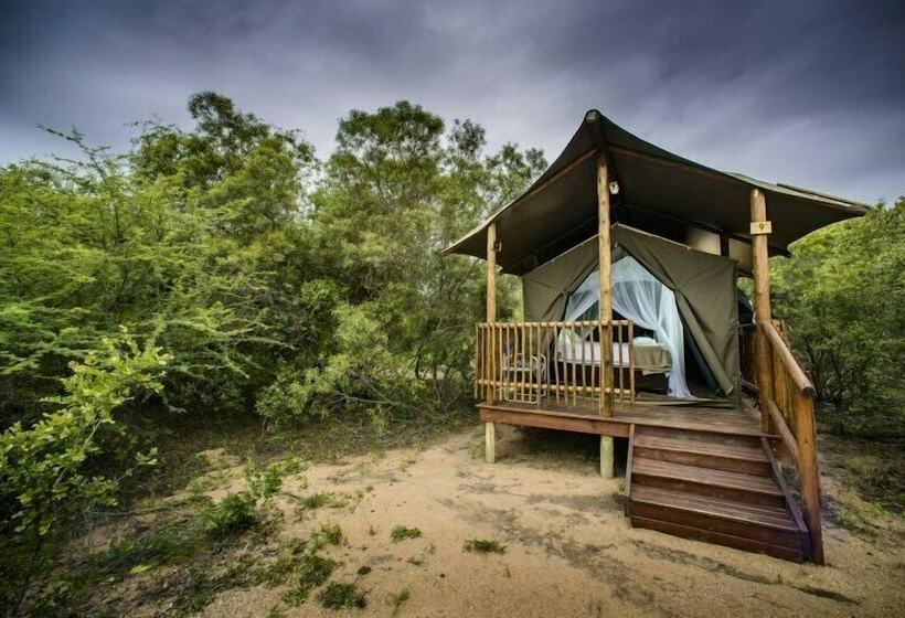 ホテル Shalati Kruger Lodge
