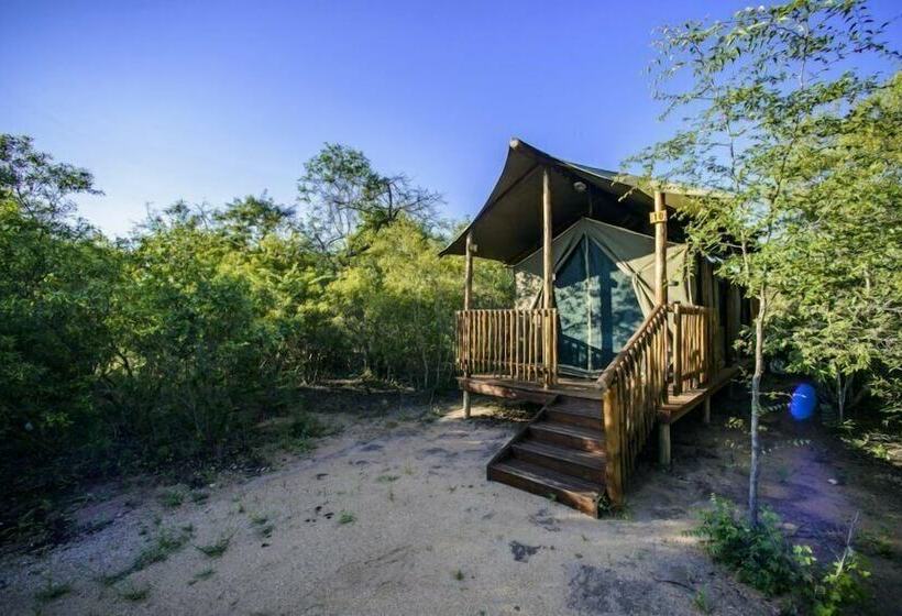ホテル Shalati Kruger Lodge