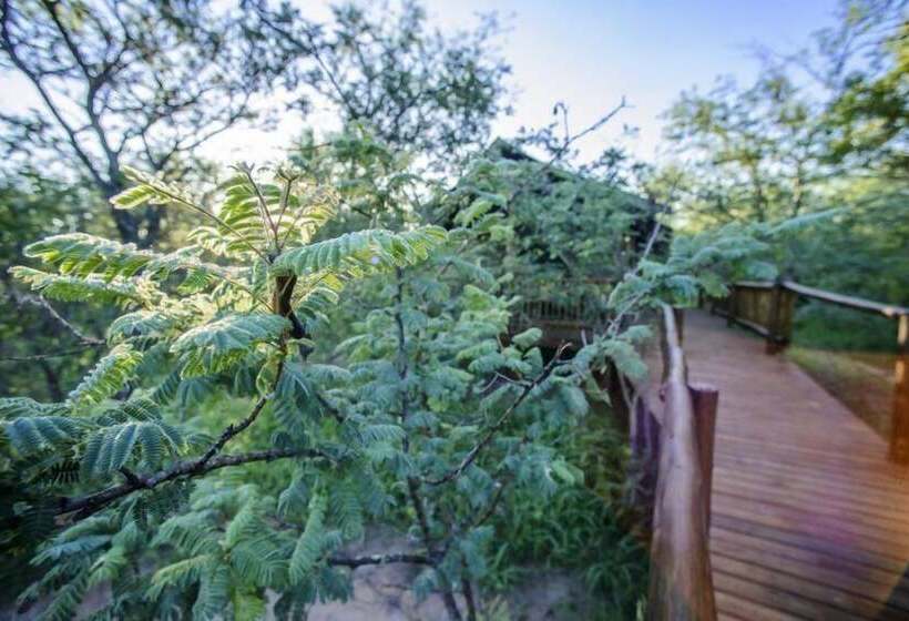 فندق Shalati Kruger Lodge