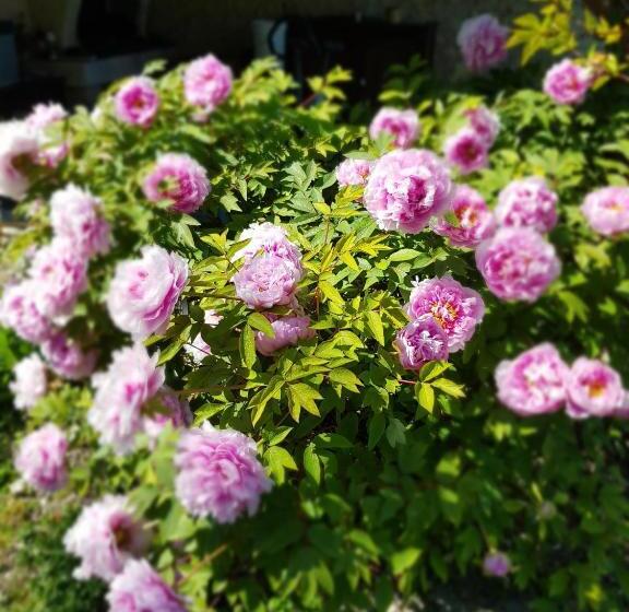 ベッドアンドブレックファースト Chambres D Hôtes Anne Marie