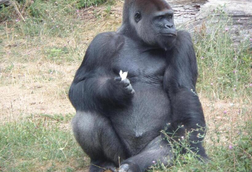 مبيت وإفطار La Roseraie