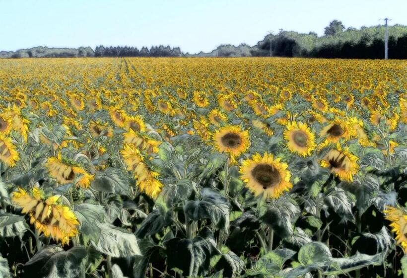 مبيت وإفطار La Roseraie