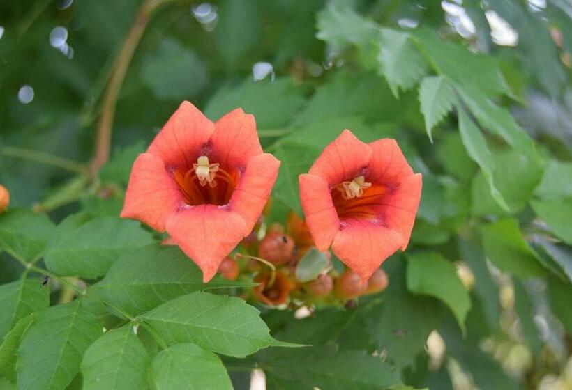 Bed and Breakfast Le Nid De L'ecureuil