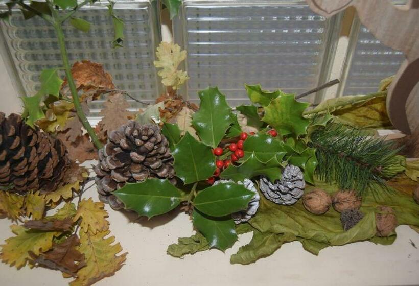 Bed and Breakfast Le Nid De L'ecureuil