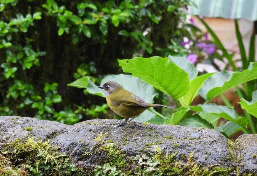 فندق Hortensias Chalets Vara Blanca