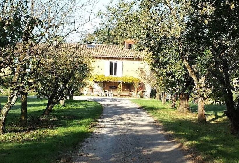 Отель Les Chalets De Fiolles