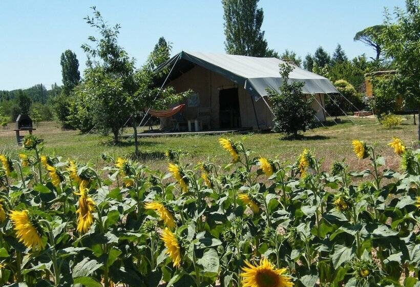 Отель Les Chalets De Fiolles