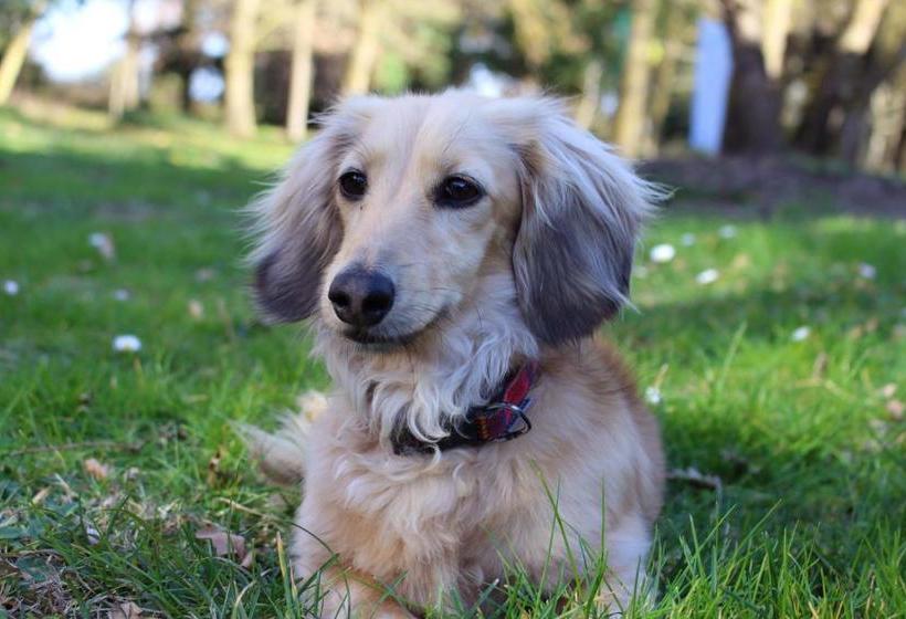 펜션 371 @ Mas De La Prade