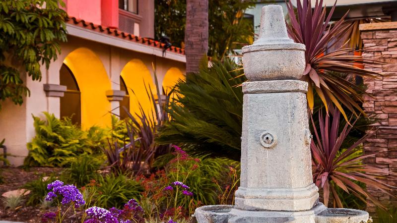 فندق Best Western Los Alamitos Inn & Suites