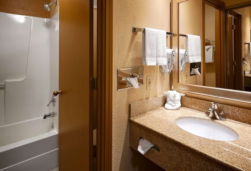 فندق Best Western Martinsville Inn